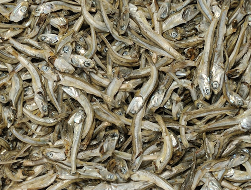국내산 해풍으로 말린 볶음용,조림용으로 좋은 멸치(中)